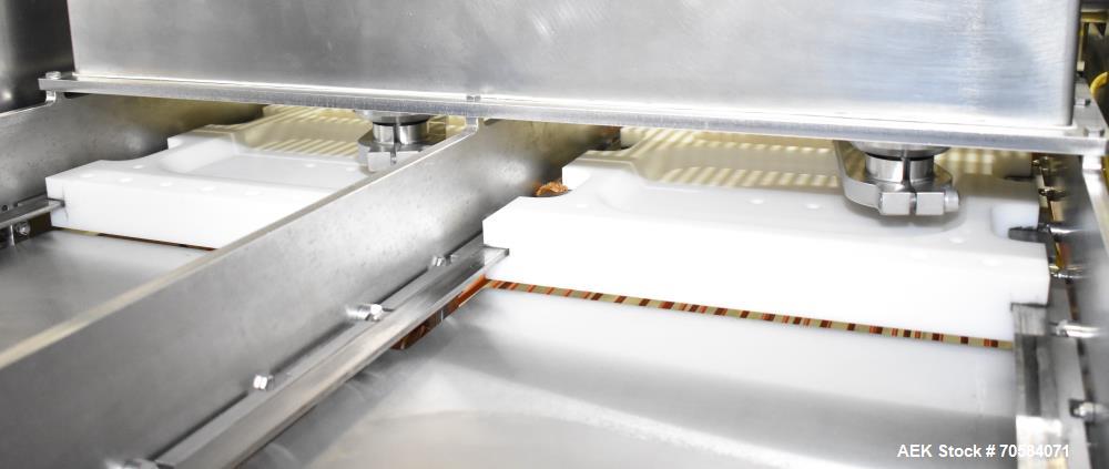 Used Quantum Model P200 Pepperoni Topping Applicator